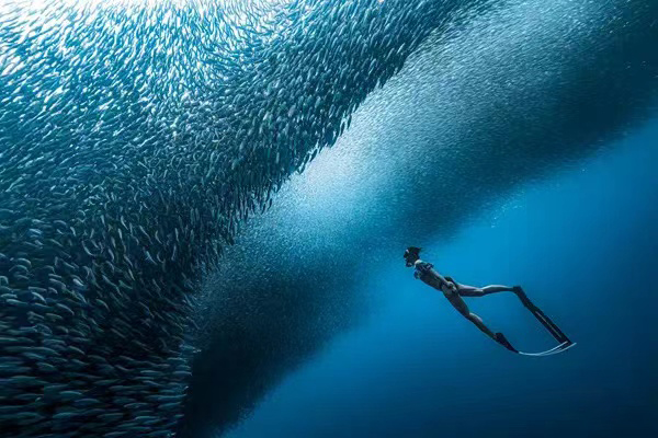 李艺（海南）《神秘海洋-Mysterious Sea》.jpg